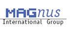 MagnusInfo Services